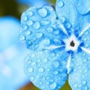 생각과마음의원 이미지