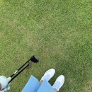 주촌오리농원 | 골린이 라운딩 기록 | 리온 cc 하이스트 cc 정산 cc 후기 ⛳️