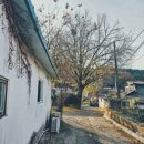 땅뫼산산책로변 공중화장실 | 부산° 부엉산.오륜대전망대.땅뫼산황토숲길.회동수원지둘레길