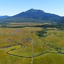 영화꽃화원 이미지