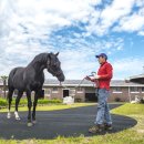 수일목장(2) 이미지