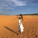 거리로 나온 벨리댄스 1 | 에티하드항공 아부다비 스탑오버 오후 사막투어 후기 (복장,꿀팁,저녁)