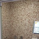 남부시장 공중화장실 이미지