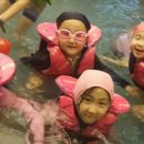 정무태권도 이미지