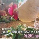 충만농장 이미지