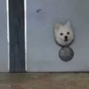 해맑은아파트 이미지