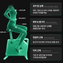 바이크 - 해운대구 좌동로14번길 14 | 래피즈 원더 칼로리 미니 접이식 실내자전거 전현무 바이크 사용후기