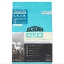 로얄퍼피 이미지