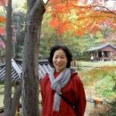 삼천냥 이미지