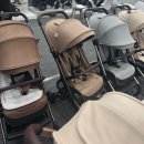 분당고등학교 내 | [임신일기] 27주~28주차 7개월 중기임산부 일상 :: 임신성 저혈당, 석촌호수 벚꽃, 소피텔잠실...