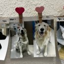 아인동물의료센터 이미지