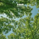 낮잠 ASMR 알아? 느낌 좋다 (노토킹, 공부할 때도 추천) 이미지