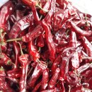 옥전농장 이미지