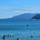 거제버섯매운탕 | [거제, 고현] 점심식사 밥집 버섯매운탕 칼국수 맛집 원조 거제 버섯 매운탕