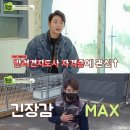 댕댕이 컷 이미지