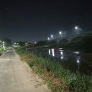 금현농장 이미지