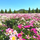 황강생태공원2 이미지