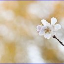 (주)비앤비인터내셔날 이미지