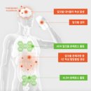 (주)에스티알바이오텍 | 회식 필수 아이템 특허 받은 숙취해소제추천 취트키