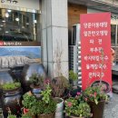 도원청국장 티스토리