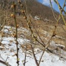 동복 2농장 이미지