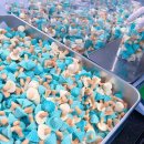 민트인사이트 이미지