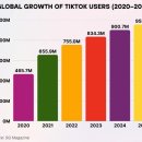 라이브레드 이미지