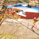 우리복사 이미지