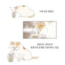 집사가 고양이 약 먹이는 방법 이미지