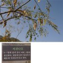 상주성주봉단풍 / [시] 단풍, 낙엽, 이재익 이미지