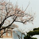 미인단장