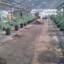 천안제일고등학교 이미지