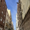 선미사 | 🇪🇸엄마랑 우당탕탕 15박 유럽 여행 _ 스페인 바르셀로나 (2) / 벙커 바르셀로나타 비치 라플라우타...