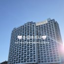 (주)유탑 | 여수 유탑마리나 애견동반호텔조식 후기