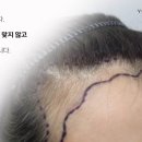 라인디자인 이미지