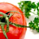 토마토PC 이미지