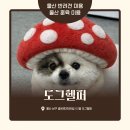 도그헬퍼 이미지