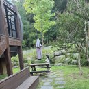 대나무랜드 | 대봉캠핑랜드 대나무둥지1호 후기