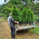 미소농장 이미지