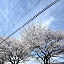 원리 농구장 이미지