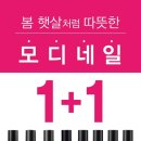 아리네일 이미지