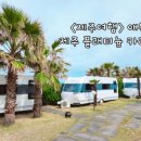 제주플래티늄카라반 이미지