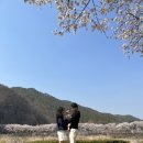 [경북 영양] 아이와 피크닉 가기 좋은 곳, 선바위관광지 (with 숨은 벚꽃 명소)