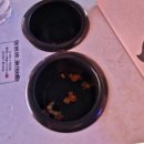 돈줄 PC | 데드풀과 울버린 후기, 쿠키있음! / 롯데시네마 월드타워점 수퍼플렉스 F열 후기/ 데드풀 팝업스토어