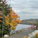 뉴 호수풍경 이미지