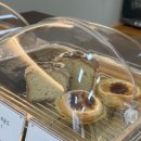 원두목장 이미지