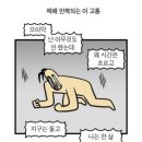 마상포 | [공지] 내돈내산 새해맞이 갓생살기 도전 스픽 프리미엄 플러스 시작(feat. 할인링크/수수료 면제)