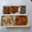 부원빨래방 | [일상기록] 봄 봄 봄 봄이 왔네요