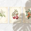 앤의정원 이미지