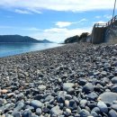 죽도어촌체험휴양마을 이미지